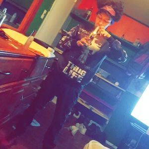 Meet your Posher, Pedro